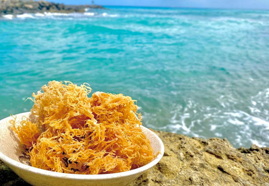 Importance of knowing the age of your sea moss gel