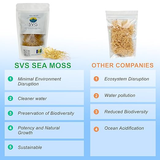 Sea Moss | Makes 22 oz of Gel | Wild Harvested Plant Based + Raw + Non GMO | Sundried | Mineral Rich | Golden