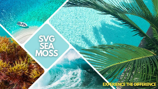 SEA MOSS GEL - MANGO (8.4 OZ)